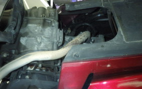 HONDA PCX 160 2019 KF47