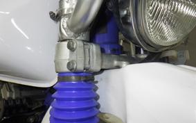 YAMAHA TT250R RAID 4GY