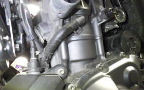 YAMAHA MT-07 2023 RM33J