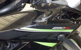 KAWASAKI NINJA 250 SL 2007 BX250A