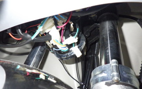 OTHER UNREGISTERED MODEL by BDS TRIKE250 2024