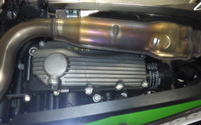 KAWASAKI NINJA 250 ABS 2024 EX250L