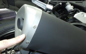 YAMAHA MT-25 A
