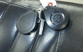 HARLEY FXLR1750 2017