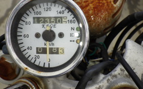 YAMAHA VIRAGO 250 2024 3DM
