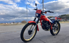HONDA TLR200 MD09