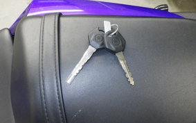 YAMAHA YZF-R25 A 2006 RG43J