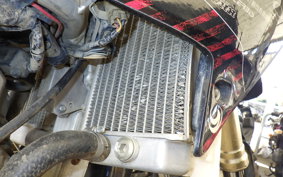 HONDA CRF250X