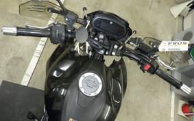 YAMAHA FZ25