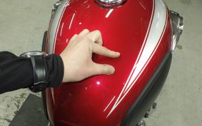 KAWASAKI W800 2022 EJ800E