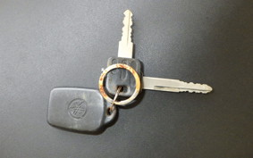 YAMAHA MAXAM 250 SG17J