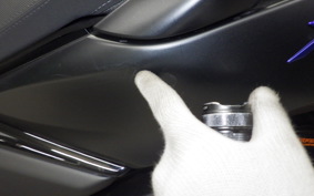 YAMAHA X-MAX 250 SGA8J