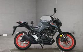 YAMAHA MT-25 RG43J