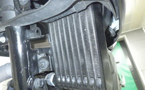 SUZUKI ｼﾞｸｻｰ250 2022 ED22B