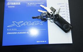 YAMAHA X-MAX 250 2008 SG70J