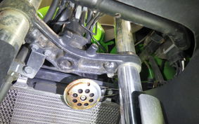 KAWASAKI NINJA 250 2022 EX250L