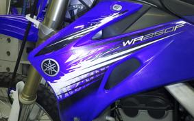 YAMAHA WR250F E 2026