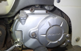 HONDA C50 SUPER CUB AA09