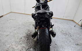 KAWASAKI NINJA 1000 ABS 2019 ZXT00W