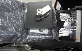 HARLEY FLTRX1920 2025