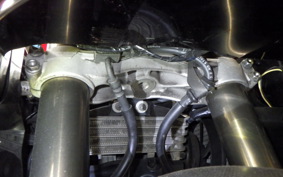 HONDA VTR1000SP 2000
