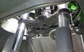 KAWASAKI NINJA 250 EX250L