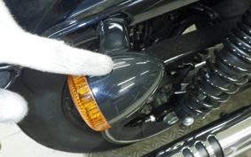 OTHER +HD. XL1200X 2022