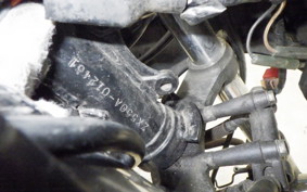 KAWASAKI GPZ550 2024 ZX550A