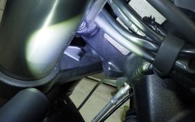 TRIUMPH STREET TRIPLE RS 2024