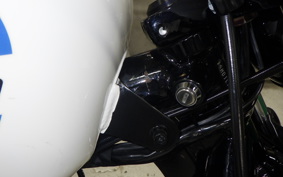 HARLEY XL1200NS 2018