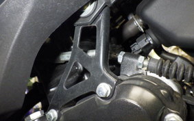 SUZUKI GSX250 R 2023