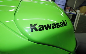 KAWASAKI ZX 10 NINJA ABS 2019 ZXT02E