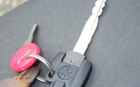 YAMAHA X FORCE SG79J