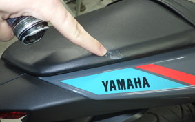 YAMAHA MT-25 A 2017 RG74J