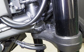 HONDA CB750 HORNET 2025 RH24