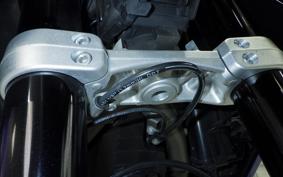 TRIUMPH TIGER 1200 GT PRO 2022