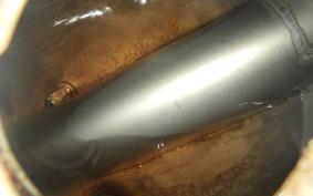 HARLEY FXSTS 1340 1990