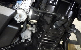 SUZUKI Vｽﾄﾛｰﾑ250 2002