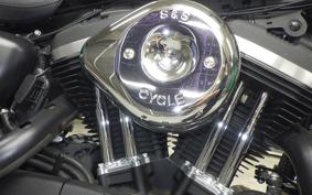 HARLEY XL883N 2021