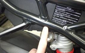 BMW S1000RR M DDC 2024