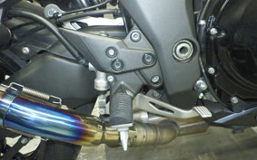 KAWASAKI NINJA 1000 A 2017