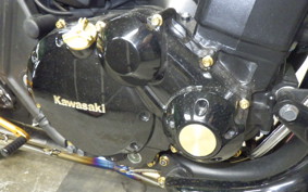 KAWASAKI ZRX1200 D 2010 ZRT20D