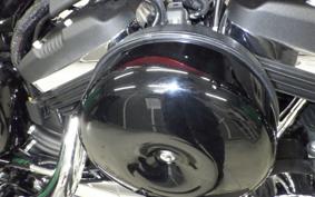 HARLEY XL1200XS 2018