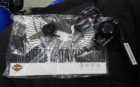 HARLEY FLHXSTSE1980CVO 2026