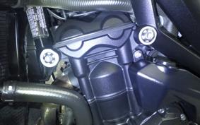 TRIUMPH STREET TRIPLE RS