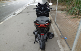 HONDA  FORZA 250 MF17