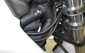 YAMAHA MT-03 2019 RH13J