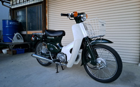 HONDA C50 SUPER CUB DX C50