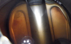 HONDA STEED 400 1996 NC26