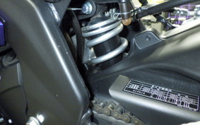 YAMAHA YZF-R15 2006 RG86J